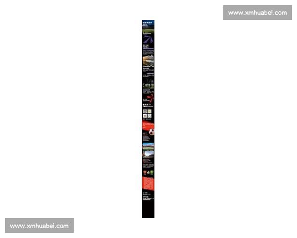 中国队比赛门票热销 赛事激情引爆球迷热情 预定抢先一步